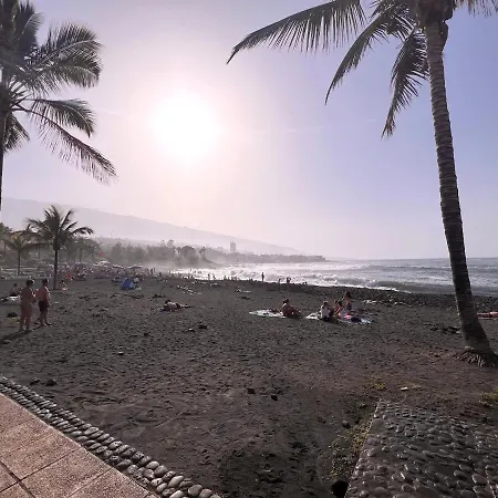 Tropicalidays Puerto